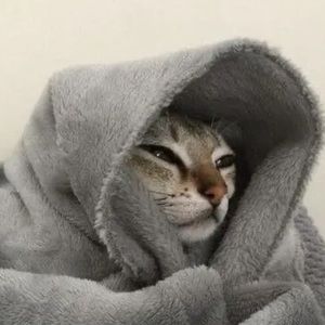 Meet your Posher, Charles